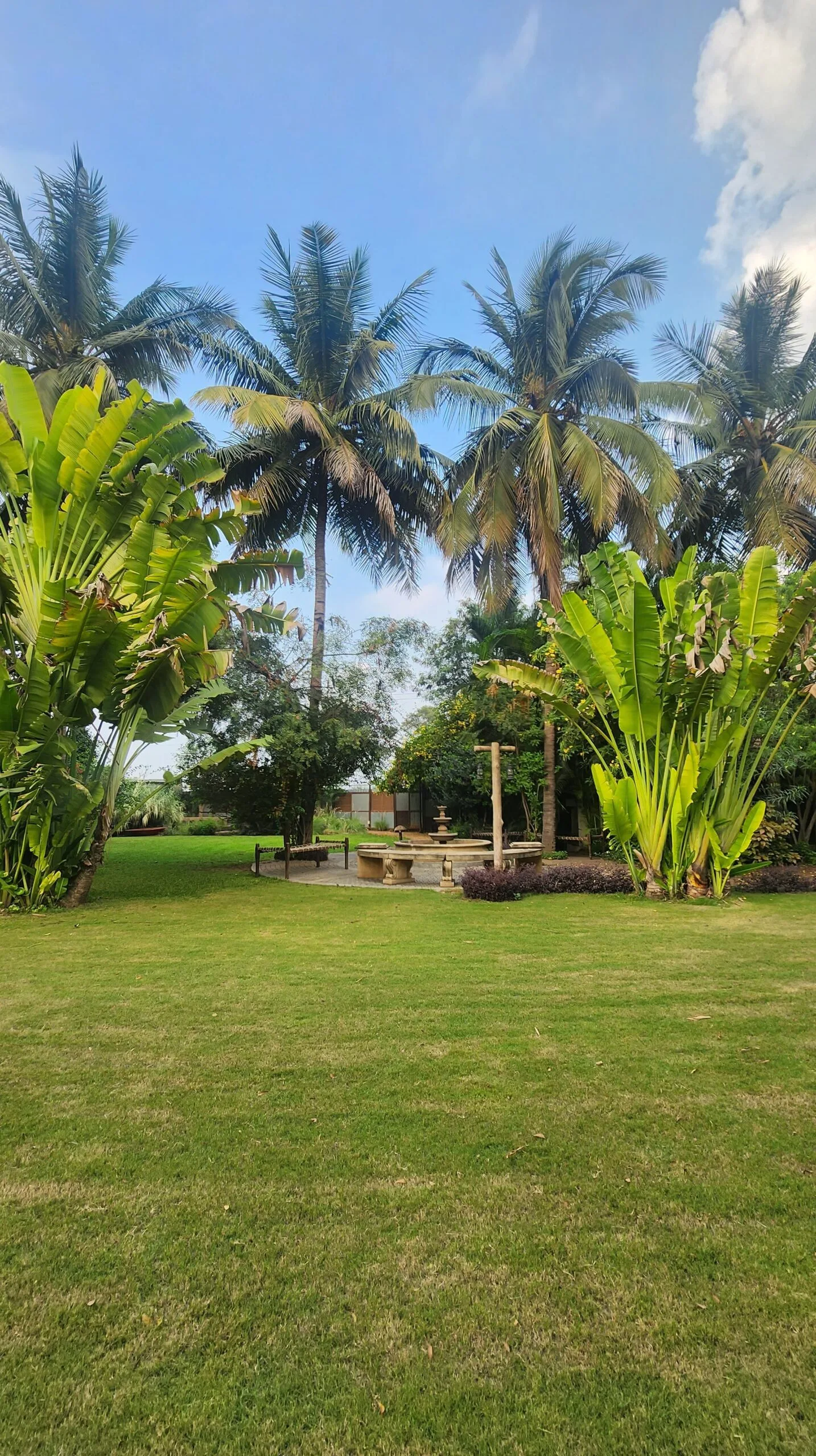 IMG_6494-min https://theecofactoryfoundation.org/wp-content/uploads/2024/03/IMG_6494-min-scaled.jpg