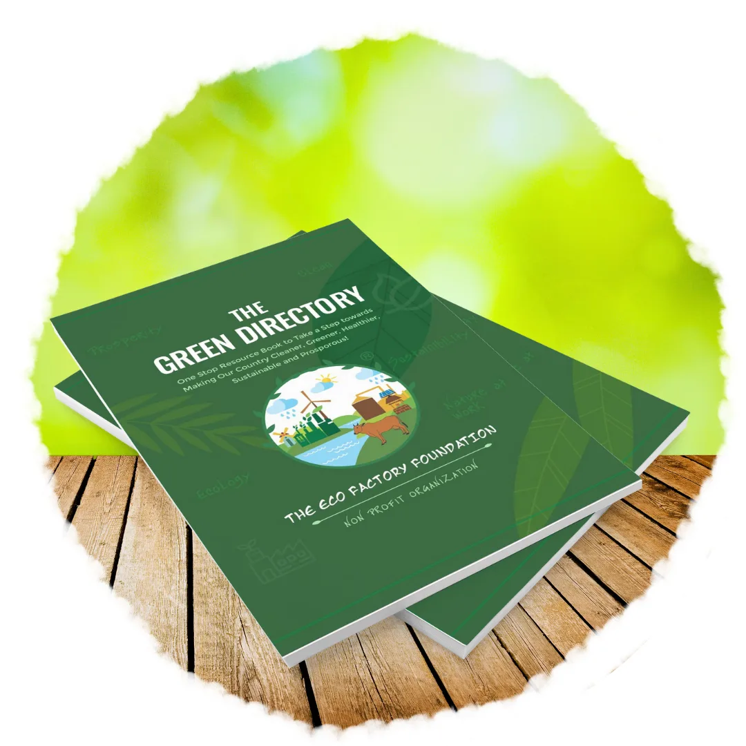 green directory https://theecofactoryfoundation.org/wp-content/uploads/2024/05/green-directory.png